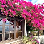 فيلة Casa Tara - 5 Bedroom, 4 Bathroom With Private Pool *