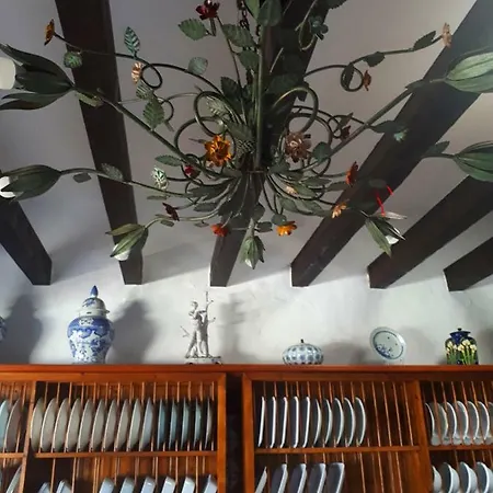 Casa Tara Mácher