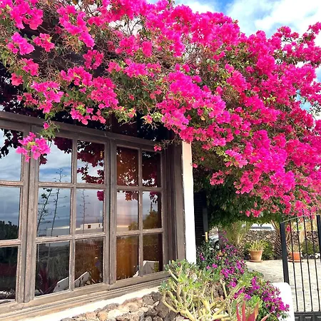 ヴィラ Casa Tara - 5 Bedroom, 4 Bathroom With Private Pool *